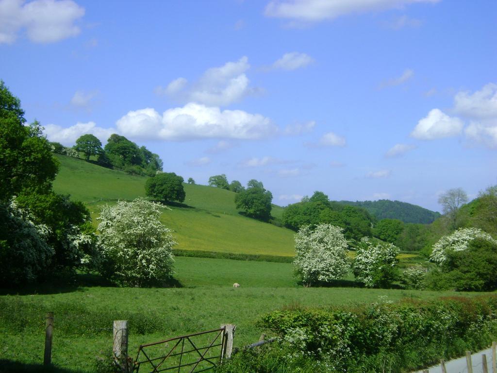 The Forest Country House B&B Newtown  Exterior photo